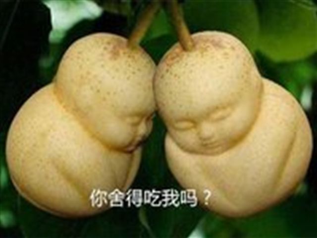 为何妖怪冒险去抢唐僧,却不去敢抢人参果?孙悟空一语道破天机!