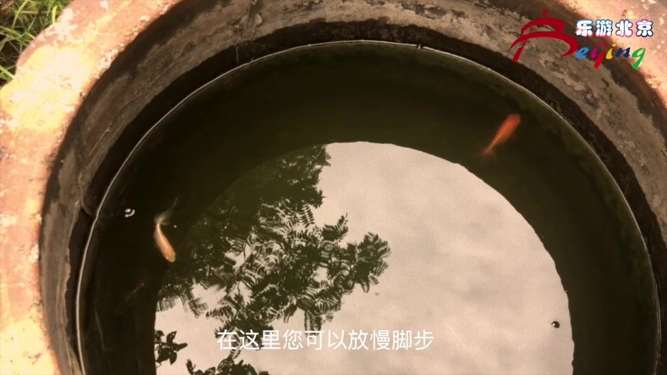 风雨七百年——北京砖塔胡同