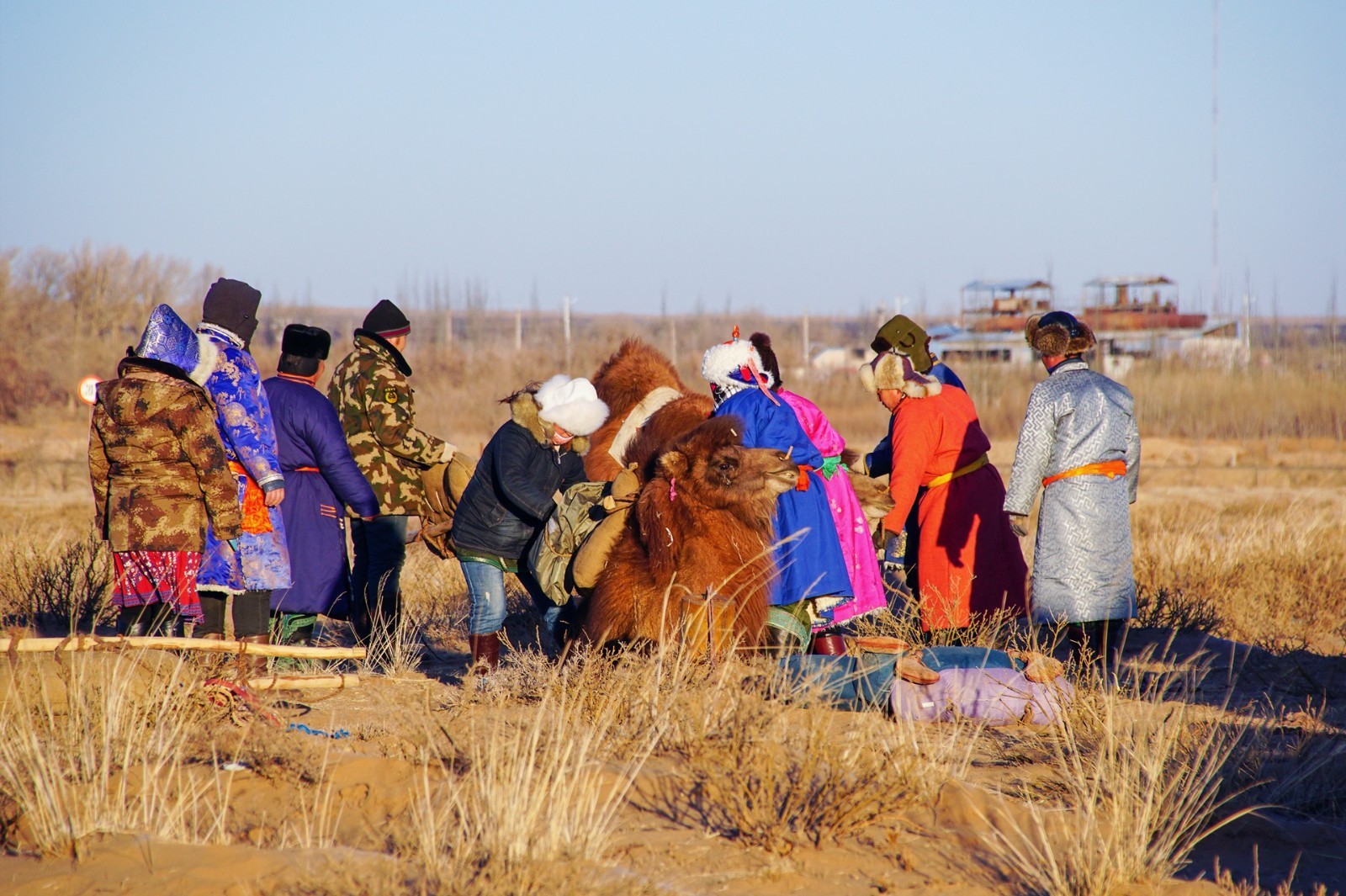 内蒙古乌拉特后旗淳朴的牧民生活一景