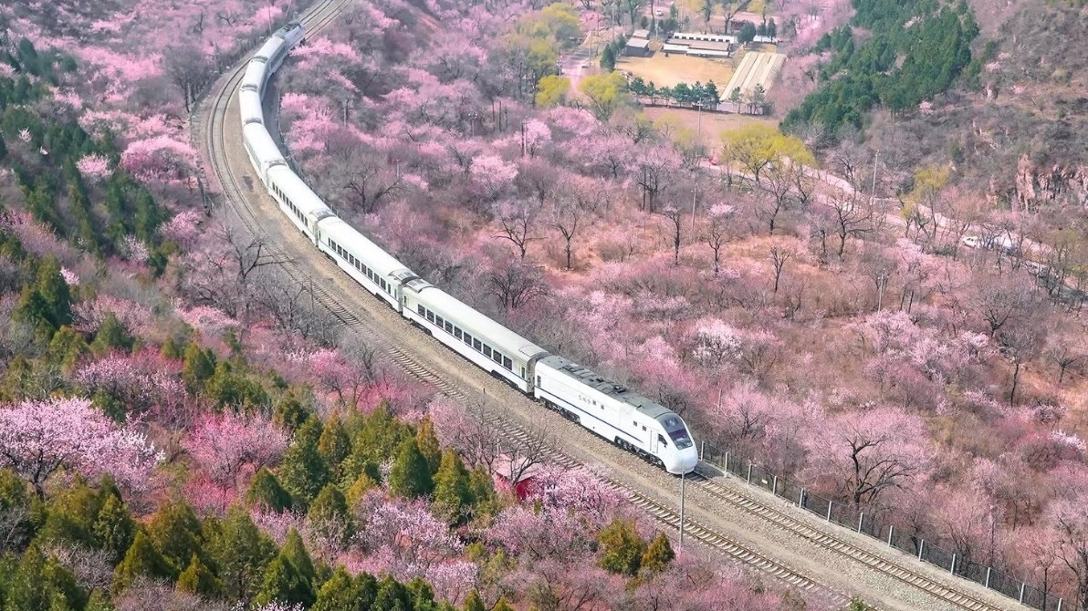 昌平开启“赏花热”!什么时候去哪里看什么花?这份攻略请收好→ 昌平开启“赏花热”!什么时候去哪里看什么花?这份攻略请收好→