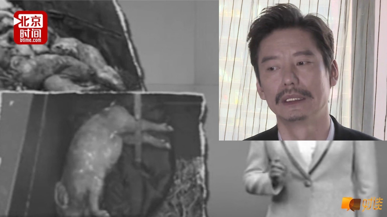 对话杨皓宇：再现“黄浦江漂猪” 牵出多个社会话题