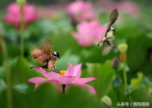 夜色温润了万物成长 摘抄