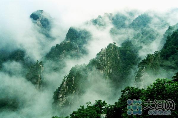 鲁山县获评2019年“中国天然氧吧”  负氧离子最大值达3036个/立方厘米
