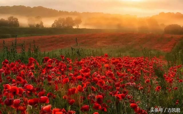 顾城10首短诗:我们打开雨伞 索性涂黑了天空