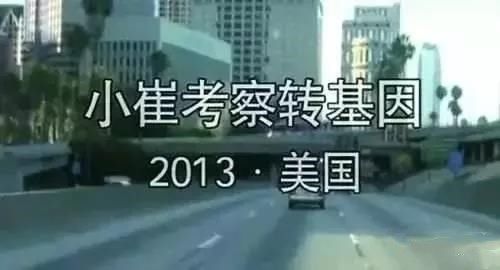 崔永元赢了,方舟子傻了,国家严查转基因!