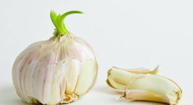 发芽的大蒜能不能吃,什么人不宜吃大蒜