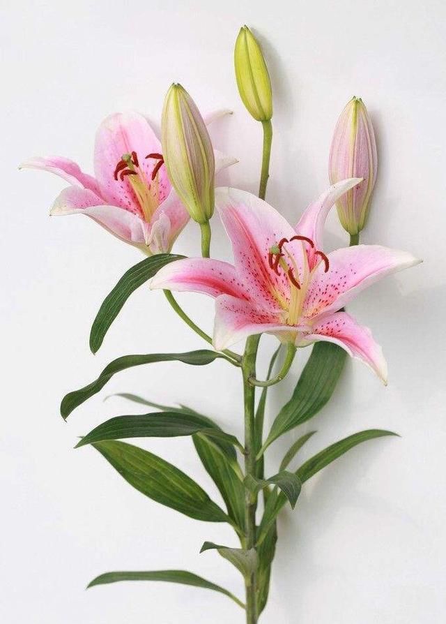 以下迹象表明你的老公\/老婆出轨了,不信进来看