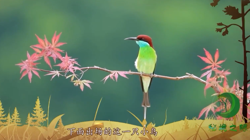 看!这里有一只多巴胺小鸟 看!这里有一只多巴胺小鸟