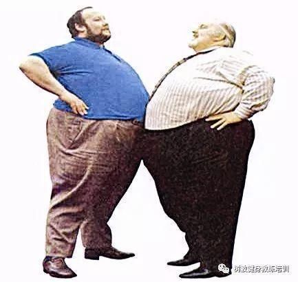 健身基础理论-肥胖