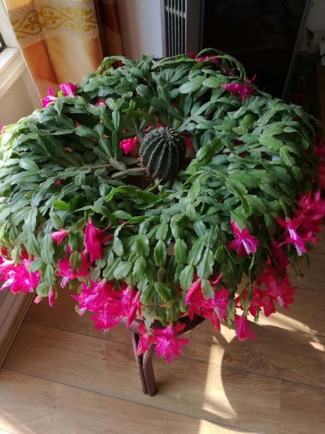 男命运逢比肩劫财婚姻晚财运差