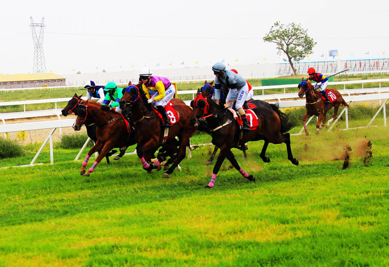 【现场】国际赛马文化旅游活动周在科右中旗开幕