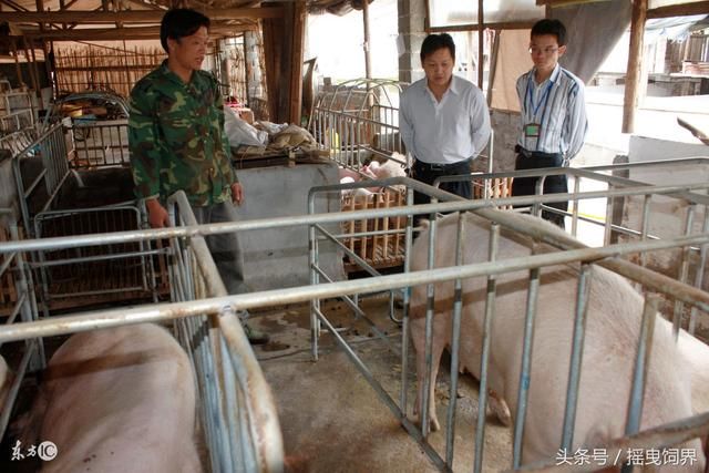 农村秸秆禁烧、畜牧业禁养,环保之风日盛,农民