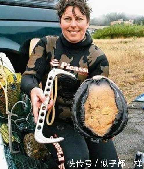 世界上最贵的鲍鱼,看着就好想吃,有谁要去吃吗