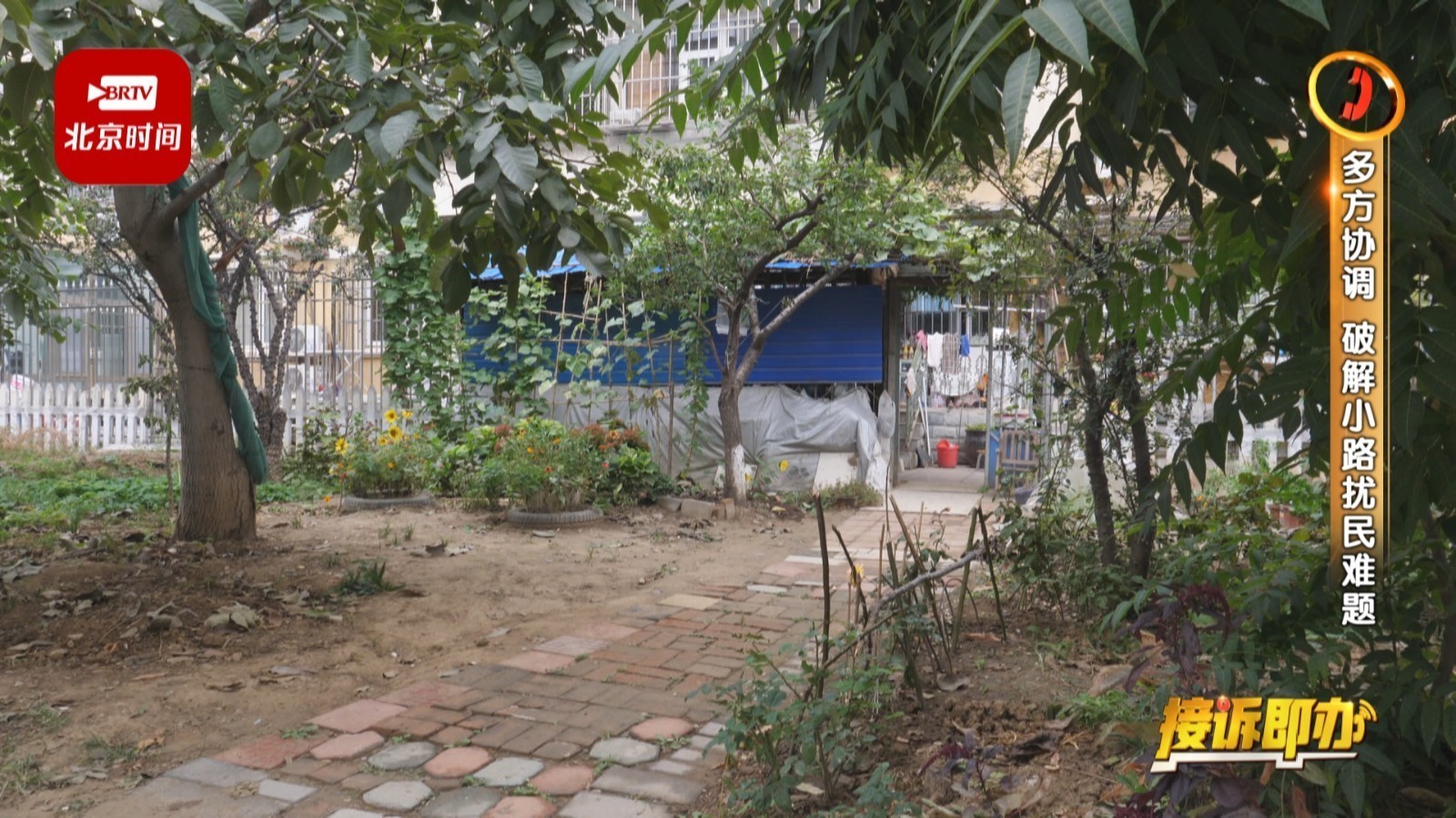 还“绿”于民！接诉即办 多方协调 破解侵占绿地自建小路扰民难题