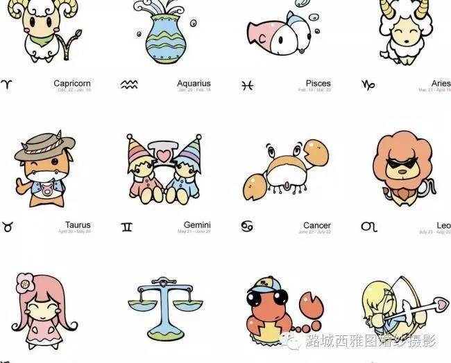 十二星座适合养什么宠物狗