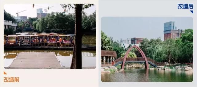 25岁的成都新华公园华丽归来