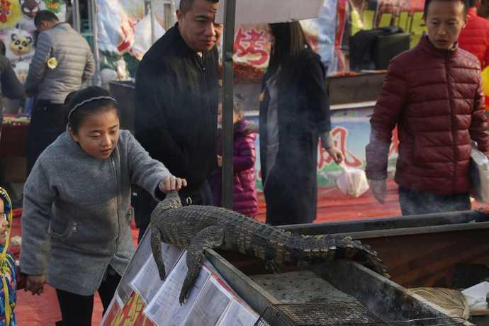 小贩农村庙会卖鳄鱼肉10元一串生意火爆 日赚万元