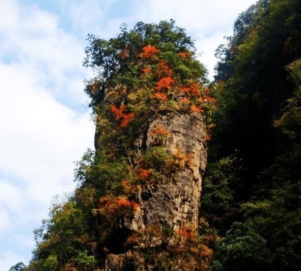 四川的巴中是四川最穷的市吗?为什么就是发展