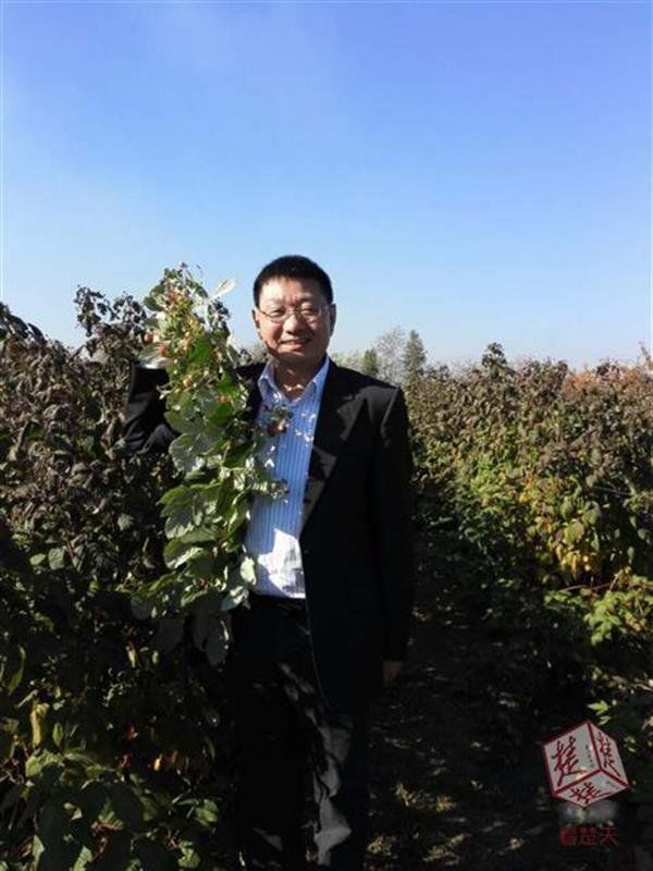 武汉什么收入标准可以算是财务自由?看看这三