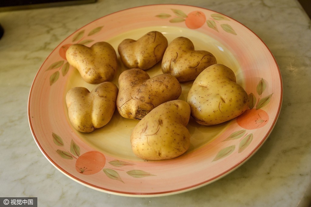 56岁单亲母亲发现7颗心形土豆 相信将召唤真爱