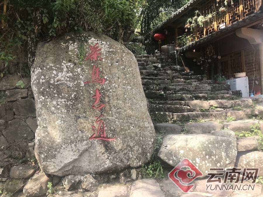 【美丽中国长江行】那柯里:“世界茶园”中一条情歌悠悠的茶马古道 【美丽中国长江行】那柯里:“世界茶园”中一条情歌悠悠的茶马古道