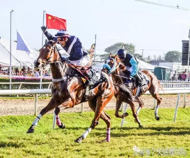中国骑师奔向发达赛马国家赛场:CHC青年骑师