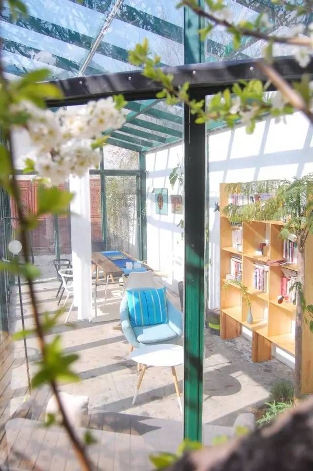 夫妻俩逃离香港,在大理造起一座玻璃房,随手一