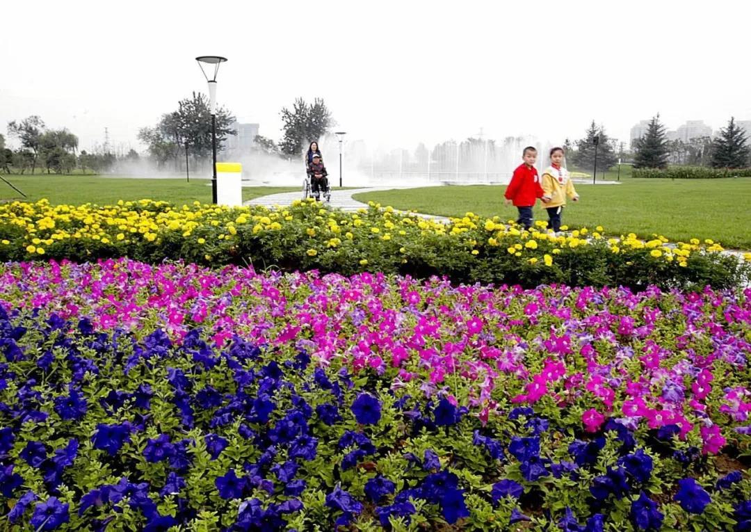 两会 | 城市也需定期体检!北京城市体检预计今