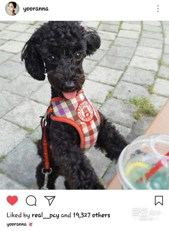 [exo][新闻]170712 灿烈多芬兄弟情深 只看发型的话是亲兄弟没错了