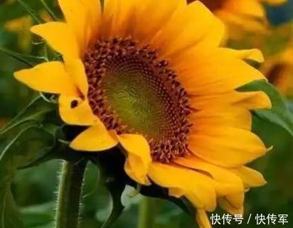 下半年摆脱霉运,好运来,菩萨保佑横财大发必富