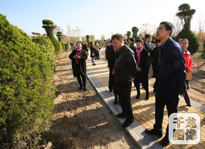 [京华大地 生动实践]北京花乡腾退空间建起花卉文化博览园
