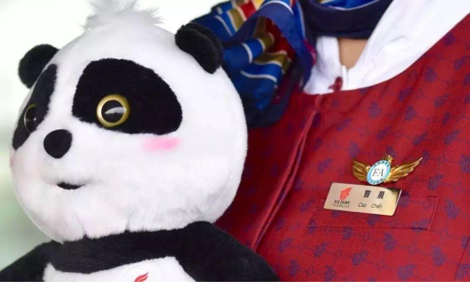 国航胖安达熊猫购买,胖安达,胖安达(第11页)_大山谷图库