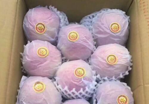 新疆阿克苏苹果价格大概多少钱一斤?什么时间