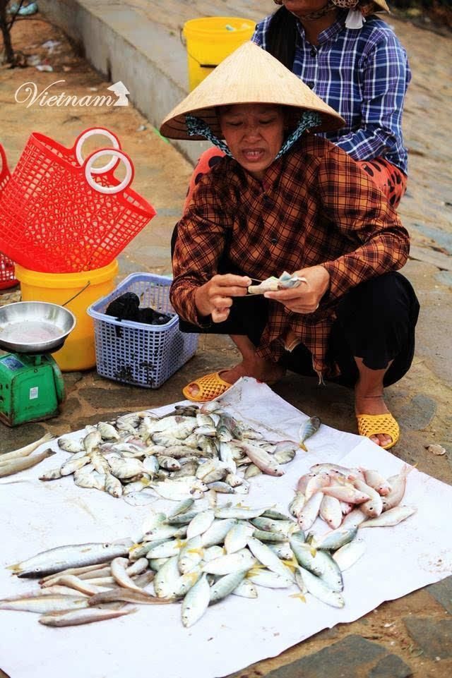 在越南这个渔港,中国内地卖1000多RMB的大虾
