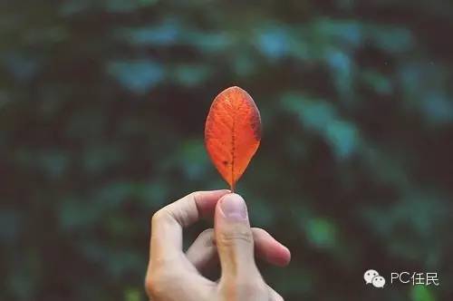 趁阳光正好，微风不燥
