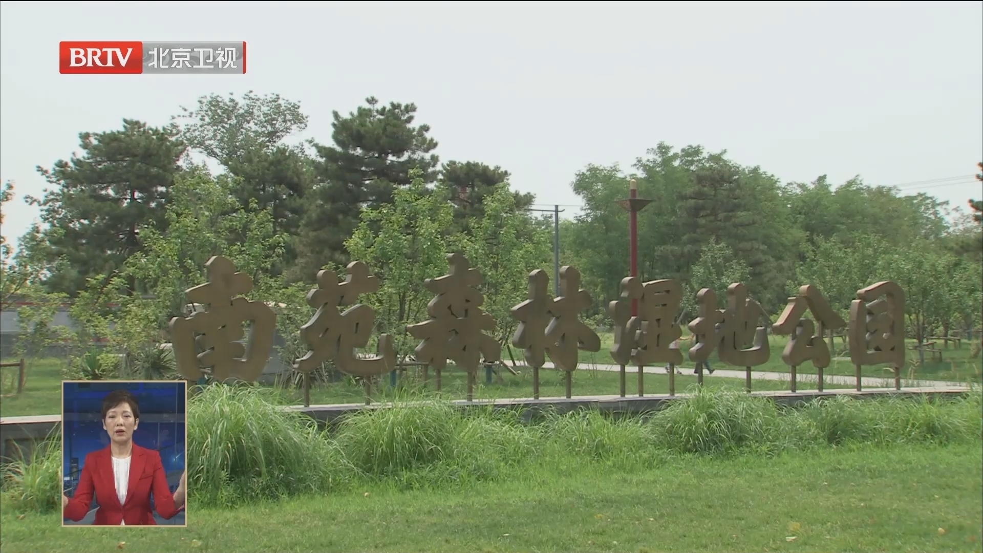 南苑森林湿地公园6月18日开园迎客 南苑森林湿地公园6月18日开园迎客