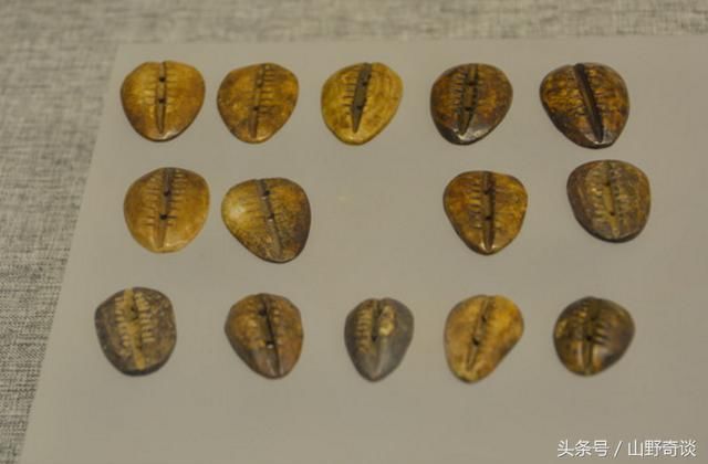 夏朝之前,还有一个神秘朝代,若能证实历史将被