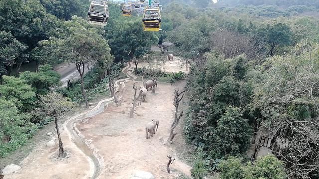 长隆世界,带孩子广州游必去的新景点,广东行6