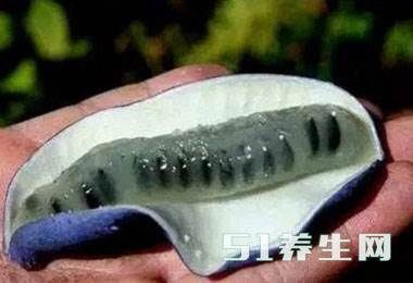 这种长相奇特的水果能认识的真没几个,你见过