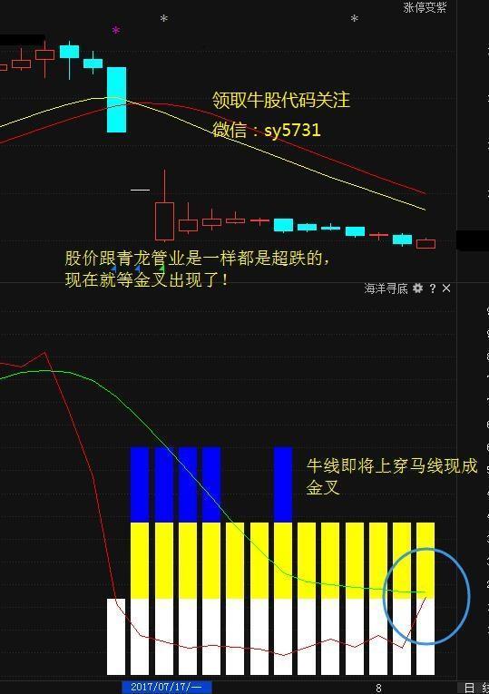这股也是跟青龙管业一个类型的个股,在前面出现断崖式的下跌后在底部