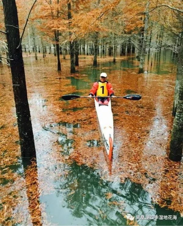 太仓双凤即将出现一座1500亩的大型景区!规划