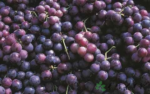 手脚冰凉按摩什么穴位