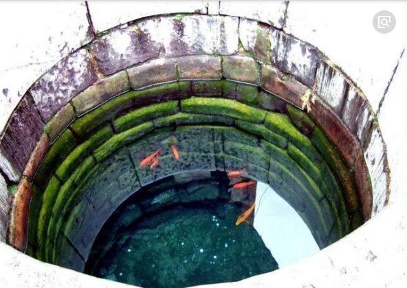 养鱼不挖鱼塘也能赚钱?他鱼一斤80元都抢着要