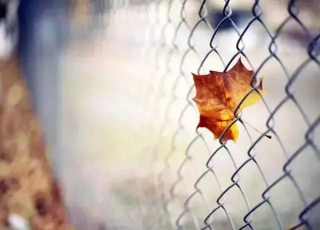 别和小人计较,别和家人生气, 别和自己过不去,