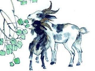 夫妻生肖:属鸡和属羊婚姻幸福吗?他们在