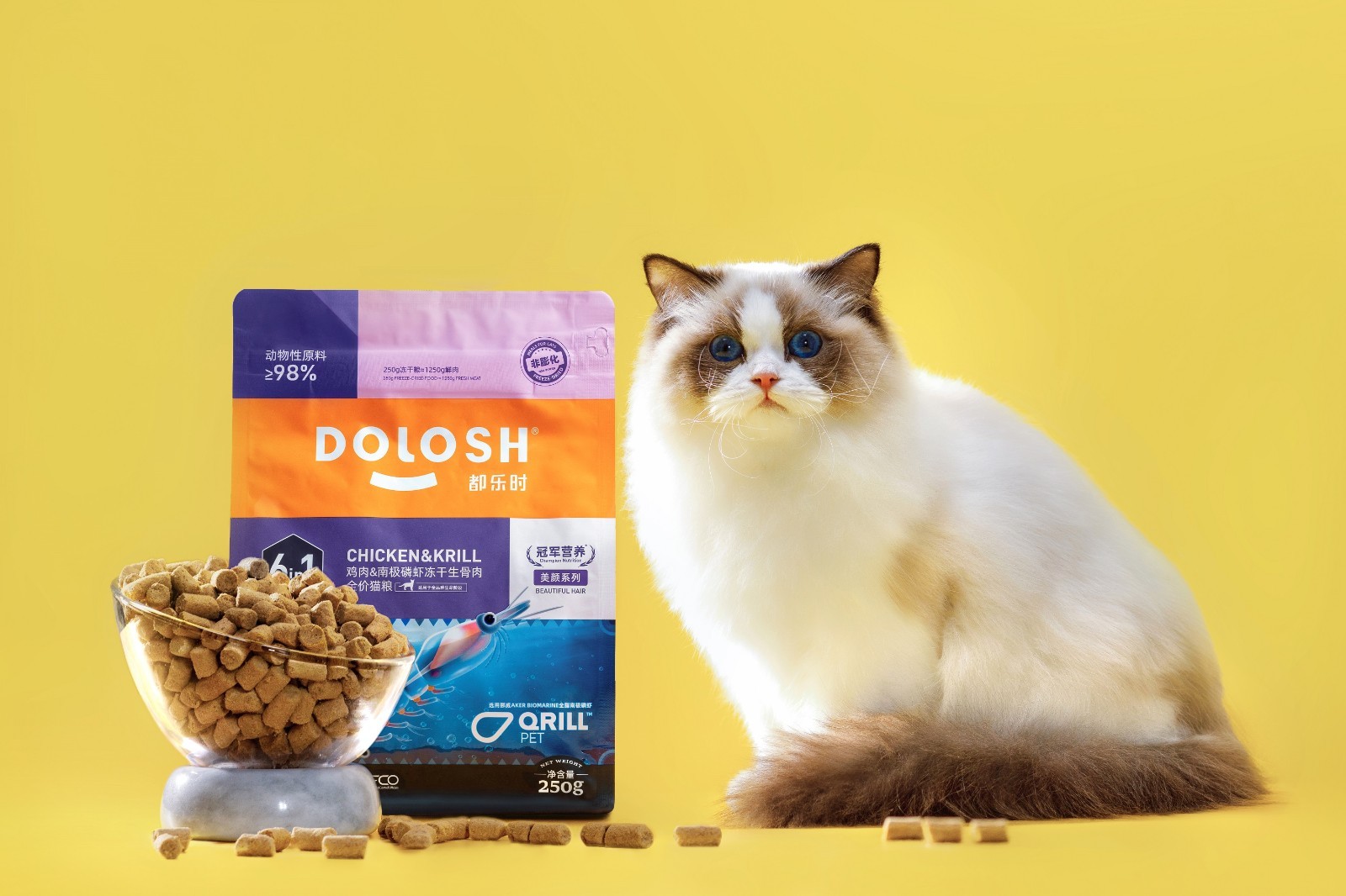 都乐时Dolosh对话派读宠物行业平台：海洋科技加持，功能宠食大有可为！
