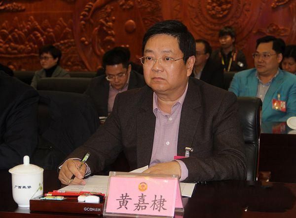 2018广西省最有钱的10个人,冯小华75亿元成首