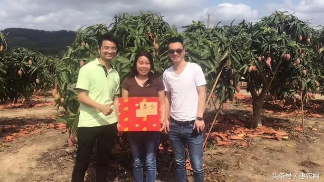 针对农产品电商上行发补贴,电商技能成为致富