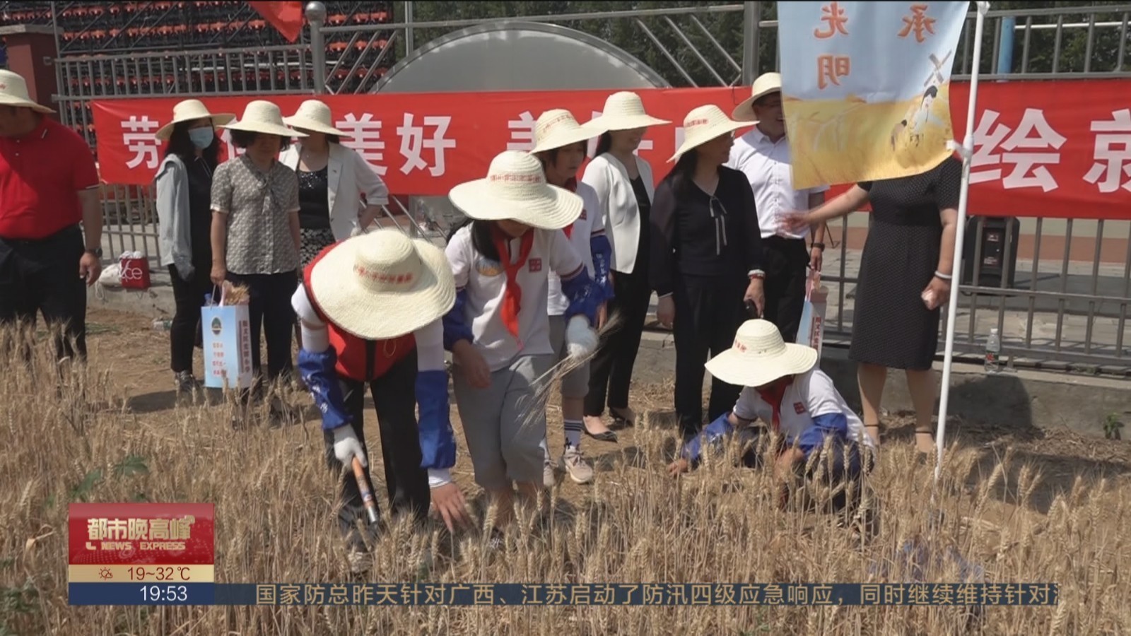 小麦开镰 小学生体验收获喜悦_北京时间