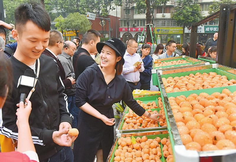 全国成熟最早 攀枝花早春枇杷亮相成都